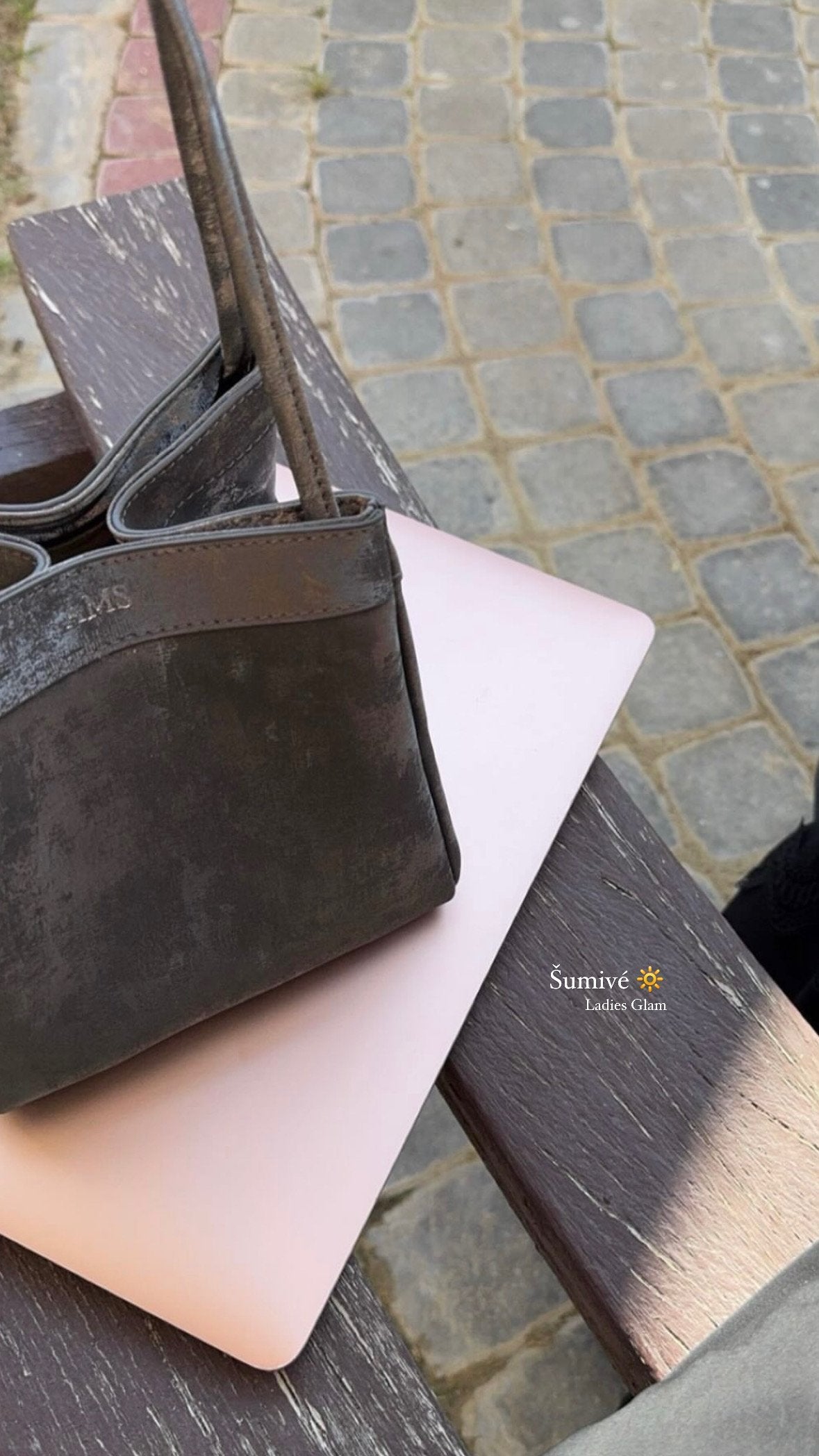🖤 Platinum Lady Bag